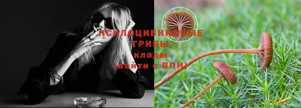 МДМА Козельск