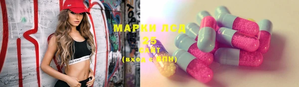 соль ск Кодинск